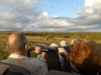 Abend-Safari am 25.02.