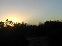 Morgen-Safari am 26.02. - Sonnenaufgang