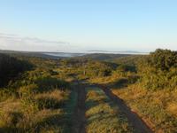 Morgen-Safari am 26.02.