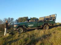 Morgen-Safari am 26.02. - Picknick