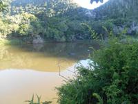 Morgen-Safari am 26.02. - Hippos (Flußpferde)