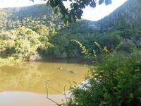 Morgen-Safari am 26.02. - Hippos (Flußpferde)