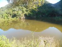 Morgen-Safari am 26.02. - Hippos (Flußpferde)