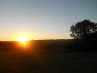 Abend-Safari am 26.02. - Sonnenuntergang