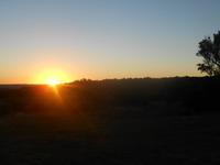 Abend-Safari am 26.02. - Sonnenuntergang