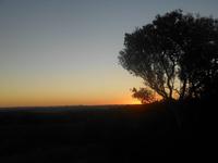 Abend-Safari am 26.02. - Sonnenuntergang