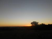 Abend-Safari am 26.02. - Sonnenuntergang