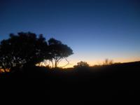 Abend-Safari am 26.02. - Sonnenuntergang