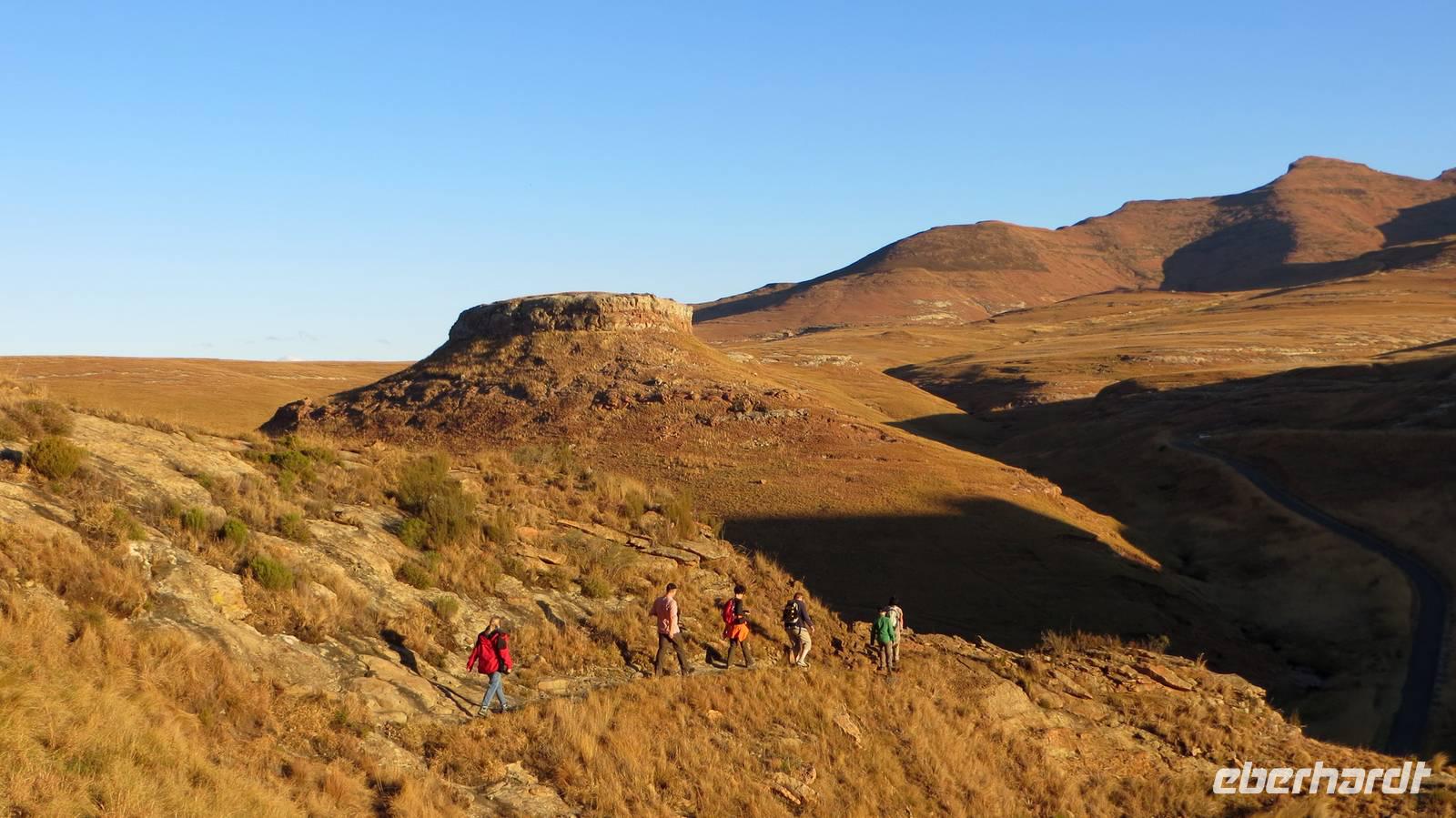 Mushroom Trail Golden Gate National Park