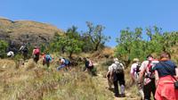 Wanderung Cathedral Peak, Drakensberge
