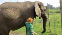 Knysna Elephant Park