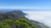 Kapstadt, Tafelberg