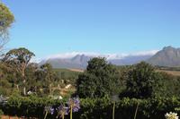 Devon Valley - Blick vom Hotel