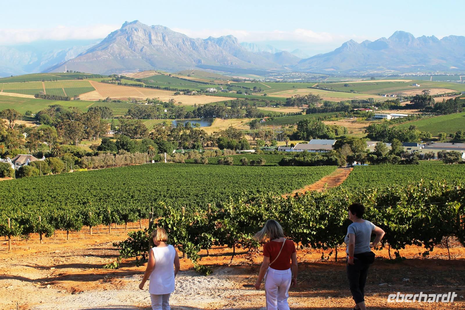 Devon Valley - Wanderung