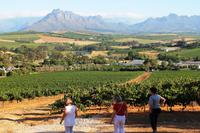 Devon Valley - Wanderung