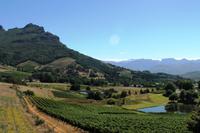 Durch die Weinregion