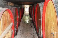 Weingut Blaauwklippen - Besichtigung