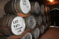 Weingut Blaauwklippen - Besichtigung