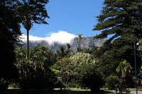 Kapstadt - Company`s Garden