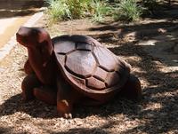 Kapstadt - Company`s Garden