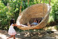 Kapstadt - Company`s Garden