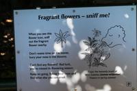 Kapstadt - Botanischer Garten Kirstenbosch