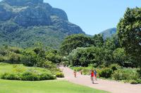 Kapstadt - Botanischer Garten Kirstenbosch