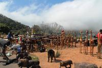 Neujahrsausflug ans Kap