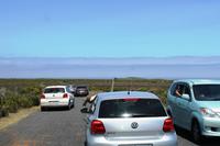 Neujahrsausflug ans Kap