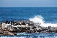 Neujahrsausflug ans Kap