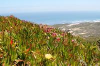 Neujahrsausflug - Kap der Guten Hoffnung