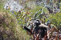 Neujahrsausflug ans Kap