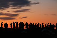 Kap Kobra auf dem Tafelberg