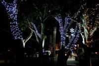 Abends an der Waterfront