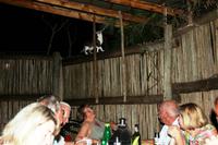 Umlilo Lodge - Besuch beim Abendessen