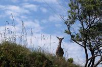 Badeausflug nach Cape Vidal