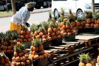 Unterwegs - lecker Ananas