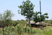 Unterwegs in Swaziland