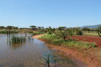 Unterwegs in Swaziland