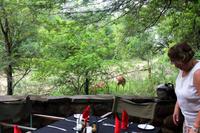 Stone Camp - Frühstück mit Aussicht