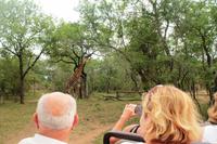 Pirschfahrt im Mkhaya Wildreservat