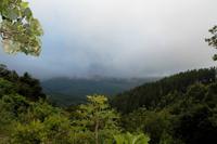 Misty Mountain am Morgen