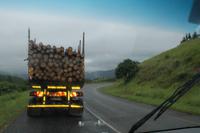 Mistwetter am Morgen