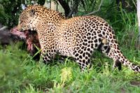 Jetzt aber, ist doch meins