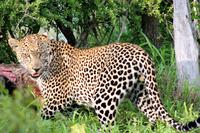 Meine Beute, noch Fragen!