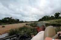 Morgendliche Pirschfahrt im Timbavati Wildreservat