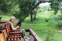 Mittagspause - Simbavati River Lodge