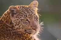 Von dem Erlebnis werden wir lange träumen