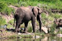 Und zum Schluss, noch einmal Tiererlebnisse