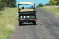 Auf Wiedersehen, Timbavati